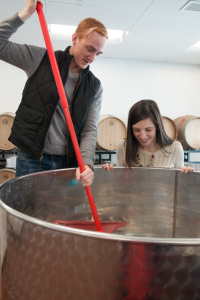 Punching Down Grapes for Wedding Wine