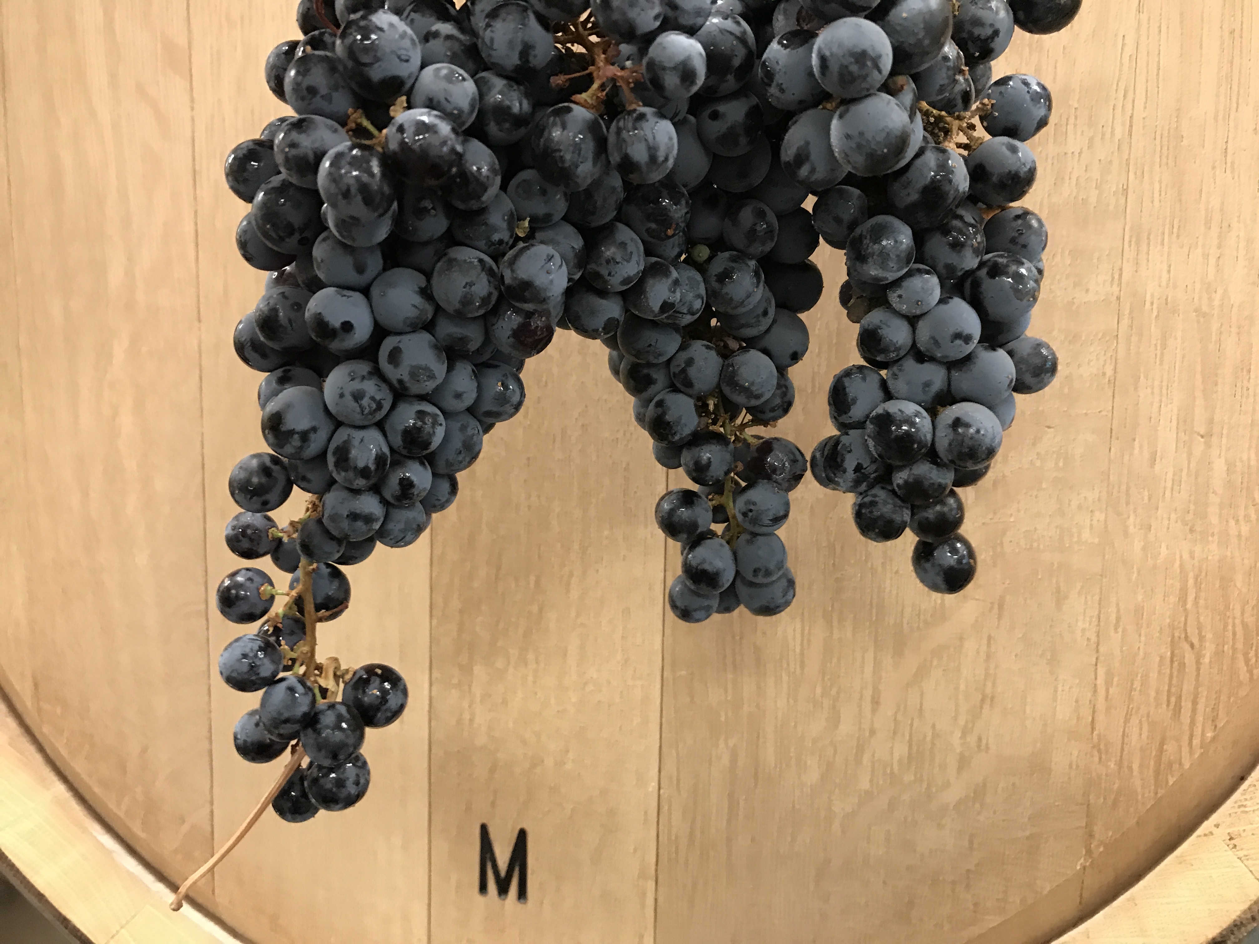 Crush Day – Cabernet Sauvignon