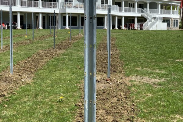 Vineyard Posts are in at Seven Birches Winery