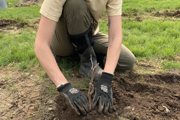 Jillian gets Planting at Seven Birches