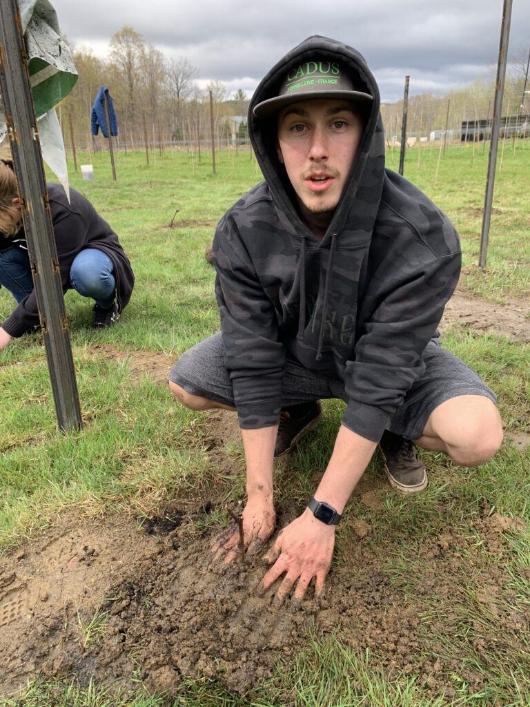 James Planting Vines