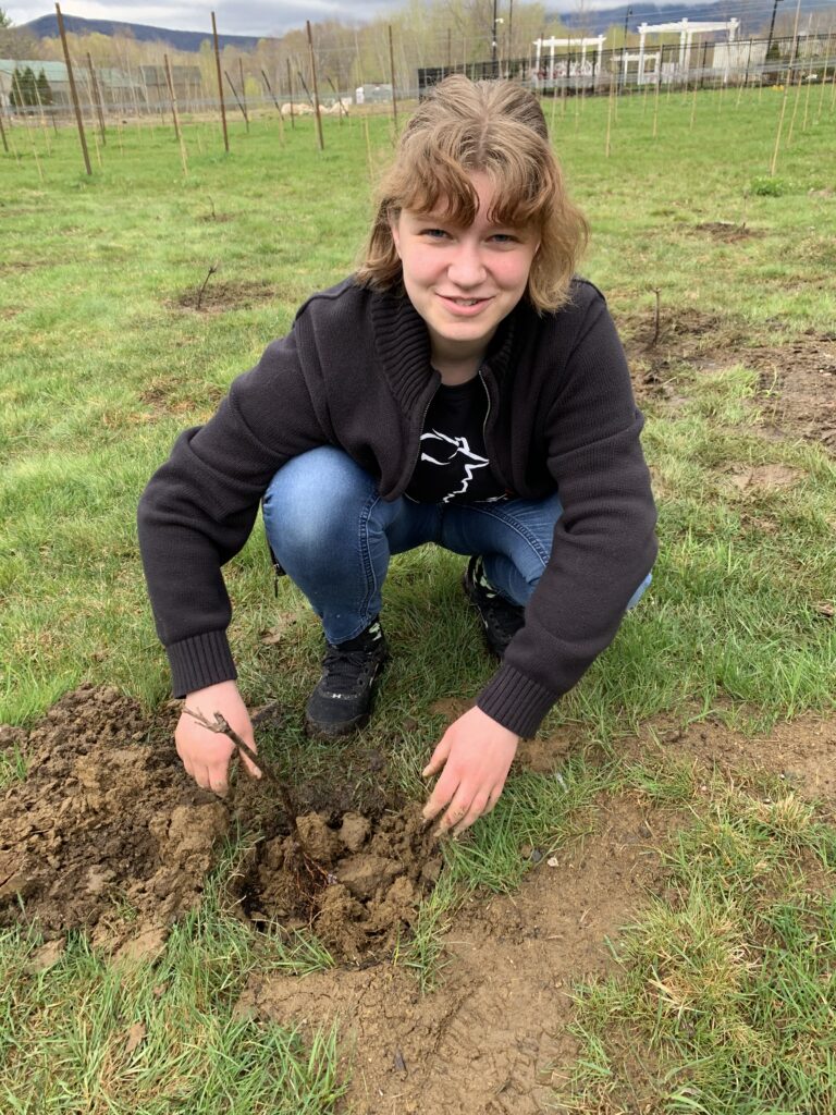 Jocelyn Planting Vines