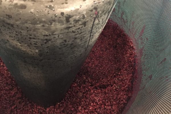 filling press with cabernet