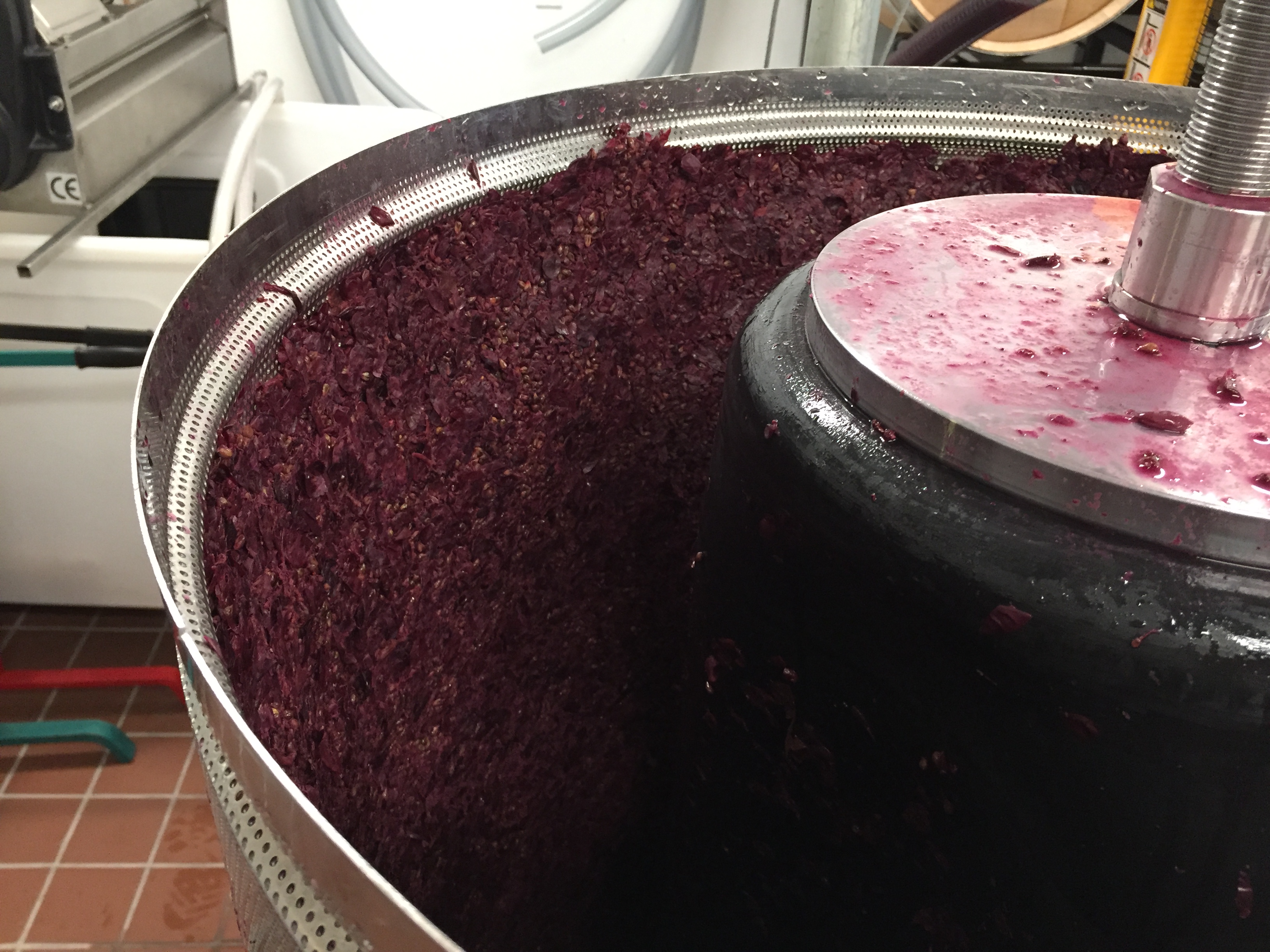 Pressing the Barrel Club Cabernet Sauvignon