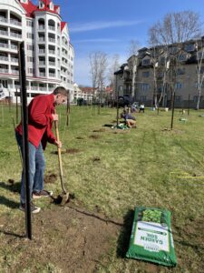 Last Vineyard Planting