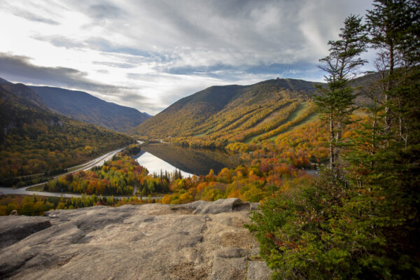 IMG_8006ArtistsBluff artist bluff