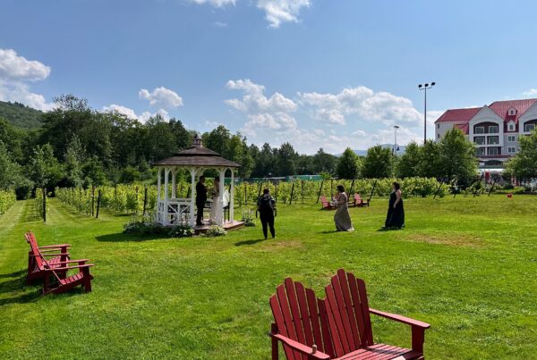 Vineyard Wedding at Seven Birches