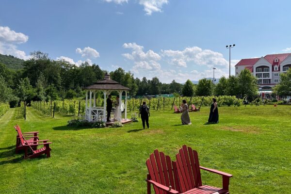 Vineyard Wedding at Seven Birches Vineyard Wedding at Seven Birches