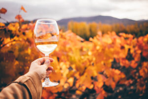 Wine on the Veranda