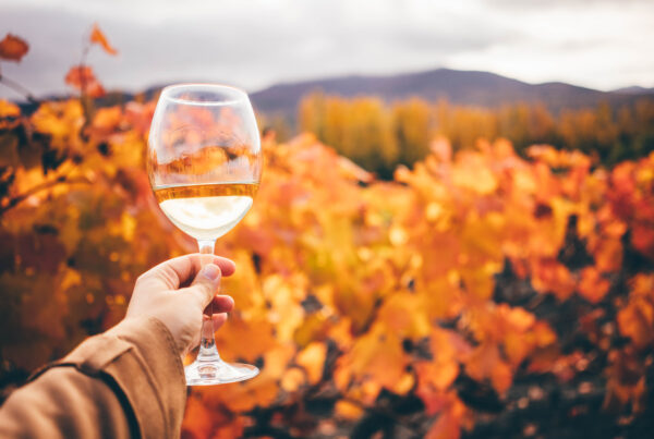 Wine on the Veranda