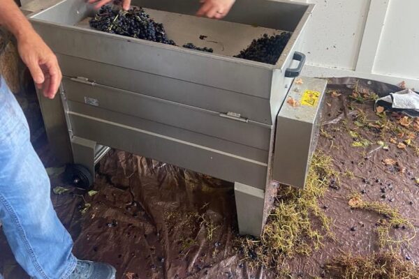 image0 (3) image0 (3)