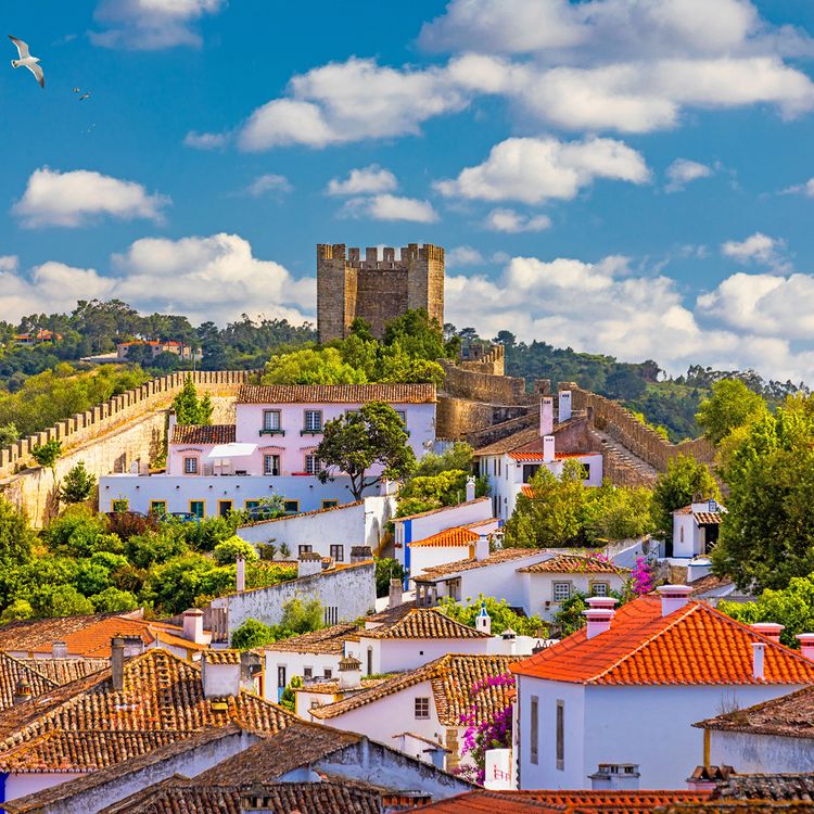 Seven Birches Wine Club in Portugal