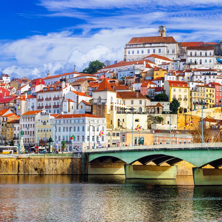Seven Birches Wine Club in Porto
