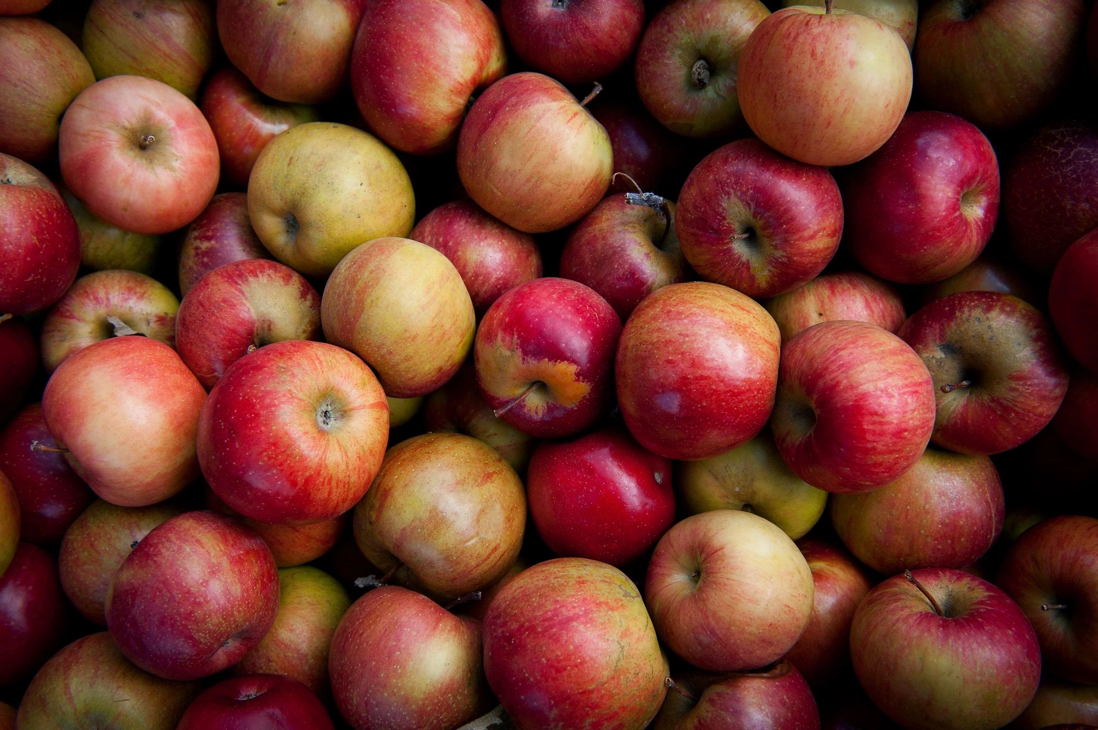 Cider Making