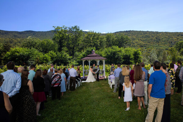 Seven Birches Vineyard Wedding