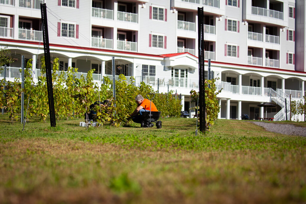 Seven Birches Picking RiverWalk Resort